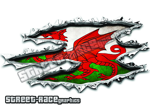 409 Ripped Metal PAIR - Image 2