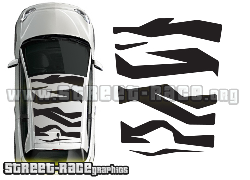 Adam Roof Zebra kit 003