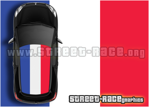 Citroen DS3 roof 074