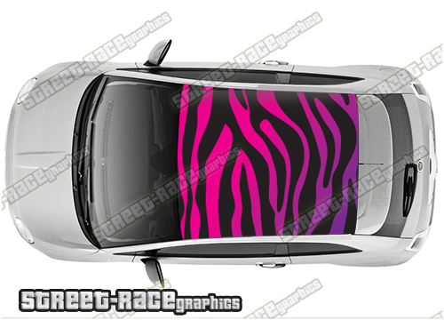 Fiat 500 roof wrap 501