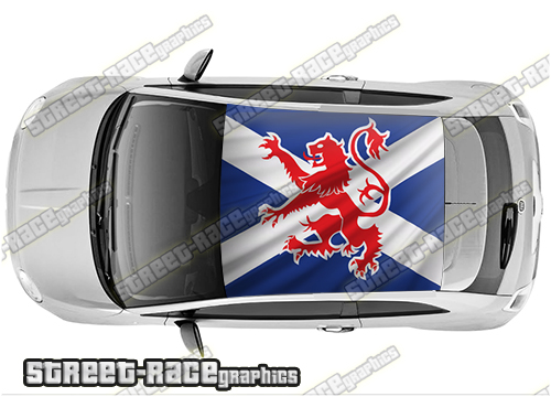 Fiat 500 roof wrap 726