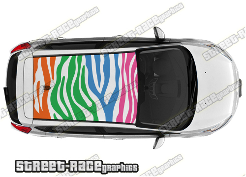 Ford Fiesta roof 005 graphics