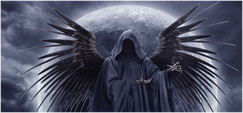 216 - VW Transporter bonnet wrap (Reaper) - Image 2