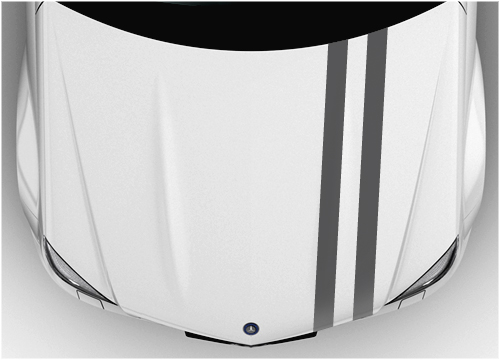 Bonnet Racing stripes 12