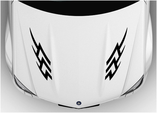 Tribal bonnet sticker 006