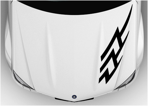 Tribal bonnet sticker 007