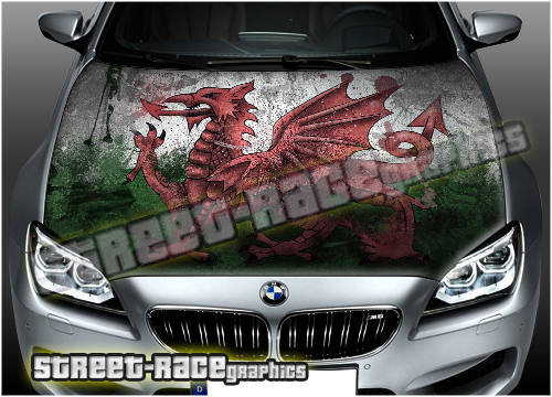 712 - Bonnet wrap (Wales grunge flag)