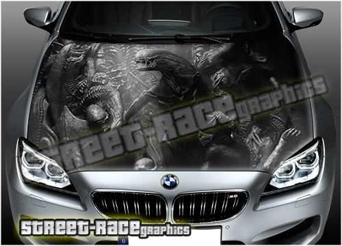 101 - Bonnet wrap (Aliens)