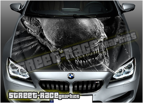 102 - Bonnet wrap (Aliens)