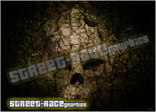 302 - Bonnet wrap (Skull) - Image 2