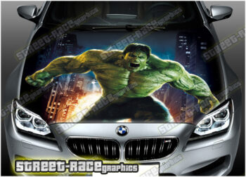 161 - Bonnet wrap (Hulk)